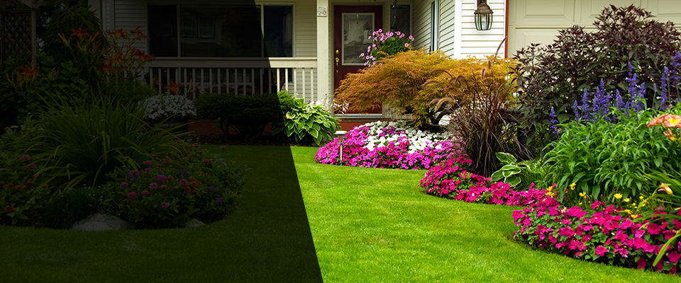 Mineola Landscapers